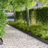 vidaXL Gazonrand - 10 stuks - 103 x 10 cm - Staal - Antraciet