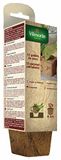 Vilmorin 3182670228773 3990606 12 nappen Coco Carres 8 cm, bruin, 8 x 8 x 8 cm