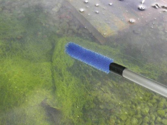 Merkloos / Sans marque FIAP AlgenBrush Active Draadalgen Borstel – 1,8m Steellengte – Vijverborstel met Geïntegreerd Afschraapsysteem – Verwijdert Draadalgen en Vuil
