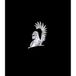 Nikkel Avisa Nikkel Sticker 'Polish Husar 2' - 60 x 45 mm