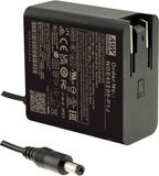 MEAN WELL NGE45I24-P1J Stekkernetvoeding, vaste spanning 45.1 W