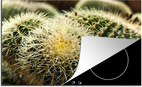 KitchenYeah® Inductie beschermer 77x51 cm - Schoonmoedersstoel Cactus - Inductiebeschermer
