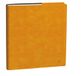 Quo Vadis 0141148Q Executive Agenda Italiaans jaar 2026 saffraan A4 16 x 16 cm weekkalender wit papier adresboek synthetisch Rome