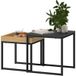 Lot de 2 tables basses modernes, table de salon carrée, petit espace, MDF et métal, noir