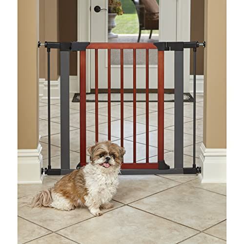 MidWest Homes for Pets Steel Pet Gate - Graphite Frame & Wood Door - 73.66H x 71.12-96.52W cm - Model 2929SG-WD
