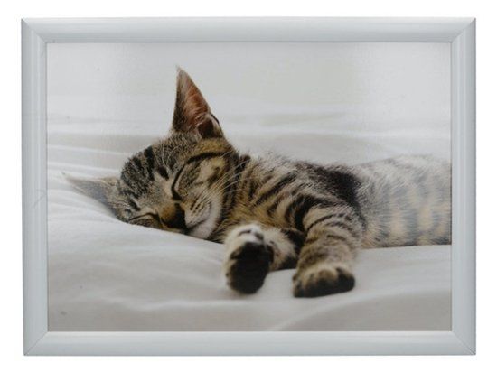 Creative Tops Kitchen Craft Laptray Sleeping Kitten, wit