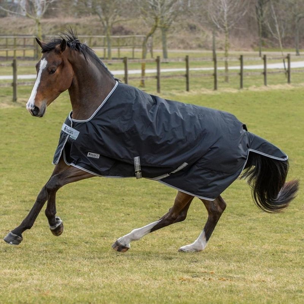 Bucas Anniversary Turnout 150 Stay-Dry 175 Zwart / Zilver