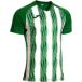 Joma Maillot Inter V
