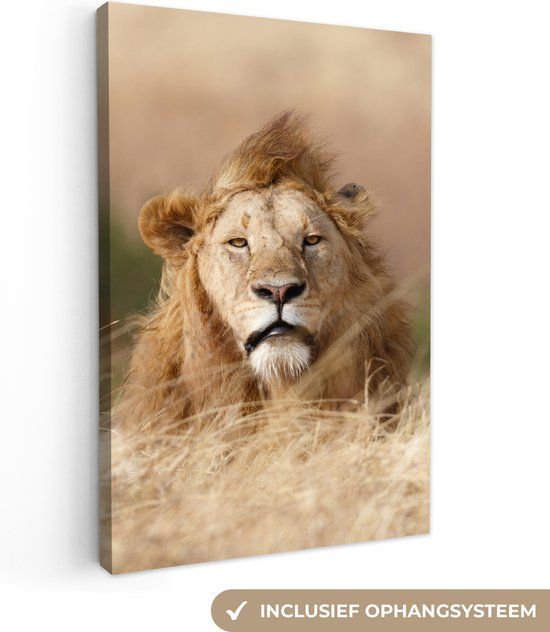 OneMillionCanvasses Canvas schilderij - Leeuw - Natuur - Dieren - Heide - Wanddecoratie - 20x30 cm - Foto op doek