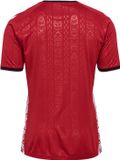 Hummel GREENLAND 25 HOME JERSEY S/S L