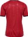 Hummel GREENLAND 25 HOME JERSEY S/S L