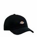 Dickies Sportcap DK0A4ZAYBLK1 Zwart Unisex One Size