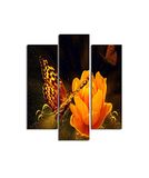 Homemania Wandafbeelding, vlinders, 3 stuks, dieren, woonkamer, slaapkamer, meerkleurig, 57 x 0,3 x 60 cm, HM203MDF54, MDF