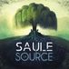 La Saule La Source (LP)