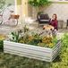 Bac à plantes surélevé - Bac à plantes pour le jardin - Acier inoxydable - 240 x 120 x 58 cm - Gants inclus - Argent