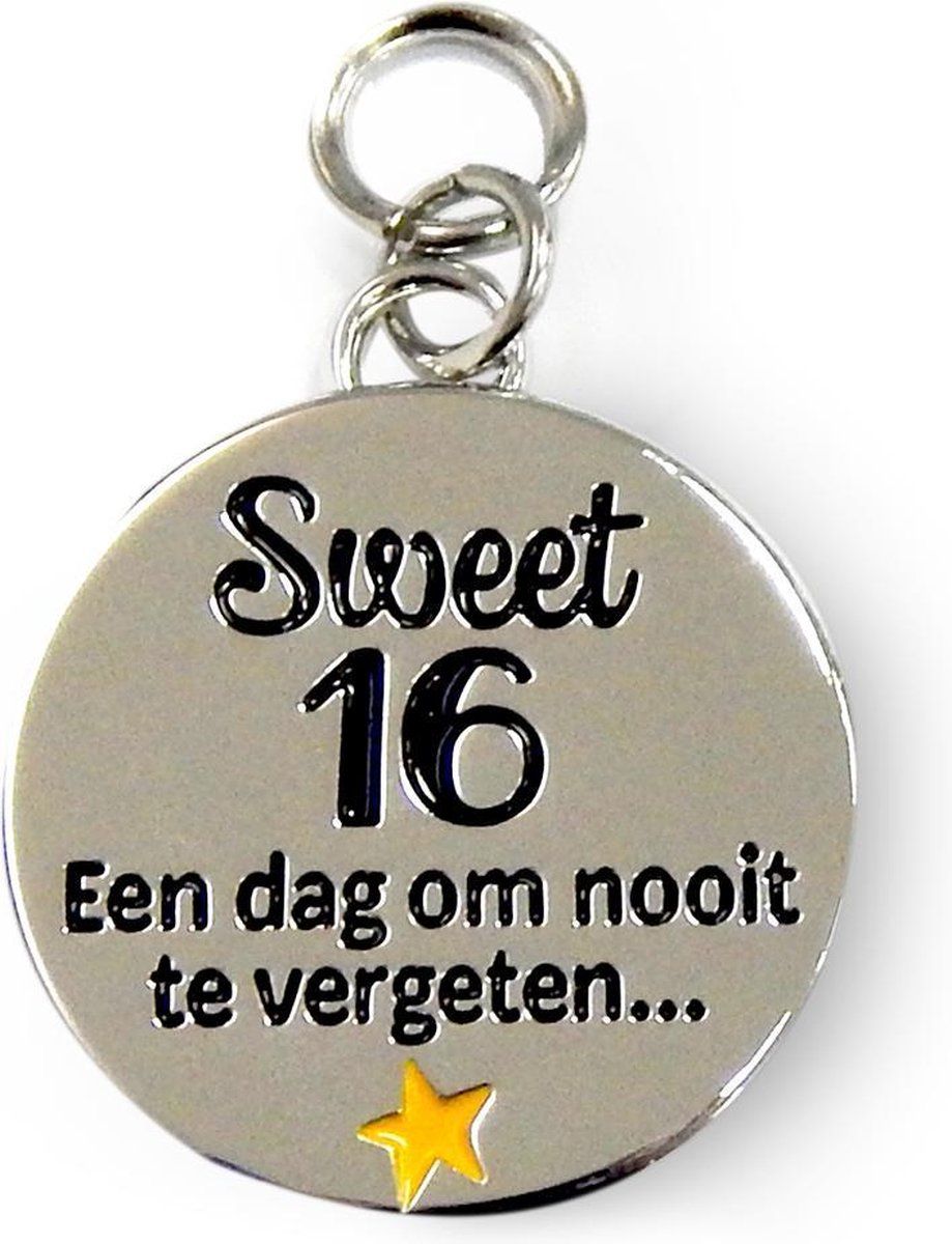 Charms for you Bedeltje - Sweet 16 - Kunststof Multi 8714436083606