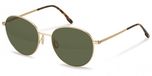 Rodenstock R1447 Gold, Havana 56/19/145 Unisex Zonnebrillen
