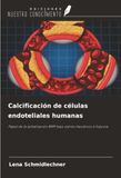 Calcificación OmniScriptum SRL Calcificación de células endoteliales humanas: Papel de la señalización BMP bajo estrés mecánico e hipoxia