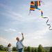 Günther Flugspiele Rainbow Eenlijner Vlieger Multicolor Polyester Beginner 54 x 98 x 580 cm