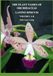 THE PLANT NAMES OF ORCHIDACEAE LATINO-SINICUM: VOLUME I A-B