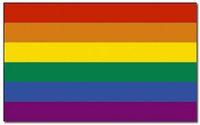 Merkloos / Sans marque Promex Gmbh Regenboog vlag 90 x 150 cm - Polyester vlag - LGBT - Inclusief 2 ophangringetjes - Gay pride - Gay vlag