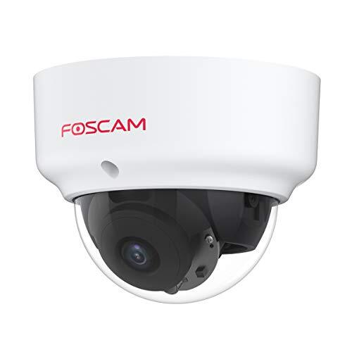 Foscam D2EP PoE IP-camera voor buiten, HD, 2 MP, infrarood, 20 m, anti-vandalico IK10, intelligente detectie, compatibel met Amazon Alexa