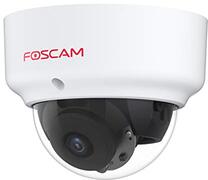 Foscam D2EP PoE IP-camera voor buiten, HD, 2 MP, infrarood, 20 m, anti-vandalico IK10, intelligente detectie, compatibel met Amazon Alexa