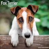 Avonside Fox Terrier Kalender 2027