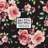 PIAS Nederland Dalton Domino Songs From The Exile (CD)