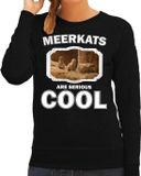 Bellatio Decorations Bol Dieren stokstaartjes sweater zwart dames - meerkats are serious cool trui - cadeau sweater stokstaartje/ stokstaartjes liefhebber XXL