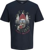 JACK&JONES Jongens T-shirt met korte mouw en ronde hals - Sky Captain