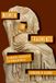 Women University Of Wisconsin Press Women in Fragments: Alternative Histories of the Roman Republic