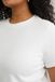 WE Fashion Dames T-shirt - Curve - Wit - 3XL