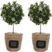 Doorstopper plant - 2x - 1 kilo - blanc - polyester - 18 x 18 x 26 cm - arbre - Home Sweet Home