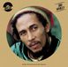 Vinylart Bob Marley - Reggae - LP - Standard Edition