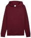 PUMA TECH Hoodie DK