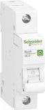 Schneider Electric R9F23106 Zekeringautomaat 1-fasig 6 A 230 V