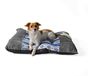 Sogni e Capricci Pets 2 kussens Snow, Avio, 88 x 69 cm