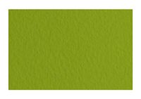 Fabriano 21297143 Tiziano Pistacchio, pastelpapier, DIN A4, 50 vellen, 160 g/m2, hoge hader, zuurvrij en bestand tegen veroudering, grip, ruw oppervlak