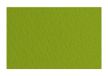 Fabriano 21297143 Tiziano Pistacchio, pastelpapier, DIN A4, 50 vellen, 160 g/m2, hoge hader, zuurvrij en bestand tegen veroudering, grip, ruw oppervlak