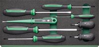 Stahlwille TCS 4620/4640/4734/10554/8 Schroevendraaierset