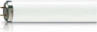 Philips TL-DK 36W Blacklight Insectenkiller 60cm G13