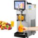 Latios Machine à granités - Machine à granités commerciale - Capacité 8 L - Acier inoxydable - 1200W