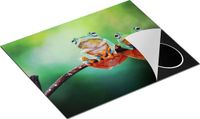 Chefcare Inductie Beschermer Twee Boomkikkers op een Tak - 65x52 cm - Multicolor