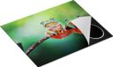 Chefcare Inductie Beschermer Twee Boomkikkers op een Tak - 65x52 cm - Multicolor