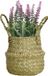 Everlands Lavendel kunstplant in rieten mand - lichtroze - D16 x H27 cm