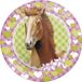 Haza-Witbaard Paarden themafeest wegwerpbordjes - 32x - 23 cm
