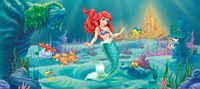 Fotobehang Disney Fotobehang FTDNh5320 Ariel, 202 x 90 cm, 1-delig