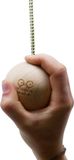 Y&Y Vertical training balls 80mm - Max Climbing - houten ballen - ophangbaar - diameter 8cm - klimtraining