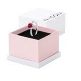 Pandora Timeless Dames Ring Zilver - Zilverkleurig - 18.50 mm / maat 58